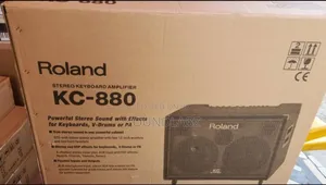 Roland Kc-880 Stereo Keyboard Amplifier.
