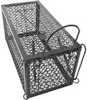 Cage Traps For Cats, Bigger Rodents