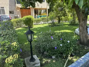 Professional Gardener