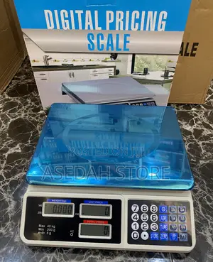 Digital Electronic Pricing Scale 40kg