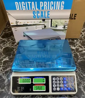 Digital Electronic Pricing Scale 40kg