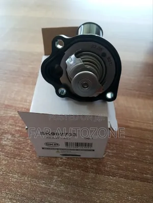 10642. Original Ford and Lincoln Thermostat From USA