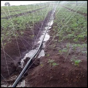Hose Rain Micro Spray Tube