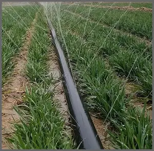 Hose Agriculture Rain Hose Full Length 100meters