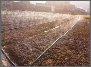Hose 100meters Rain Hose High Quality