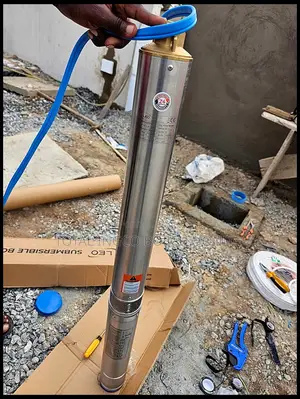 Borehole Leo Deep Down Submersible Stainless Pump(High Durability)