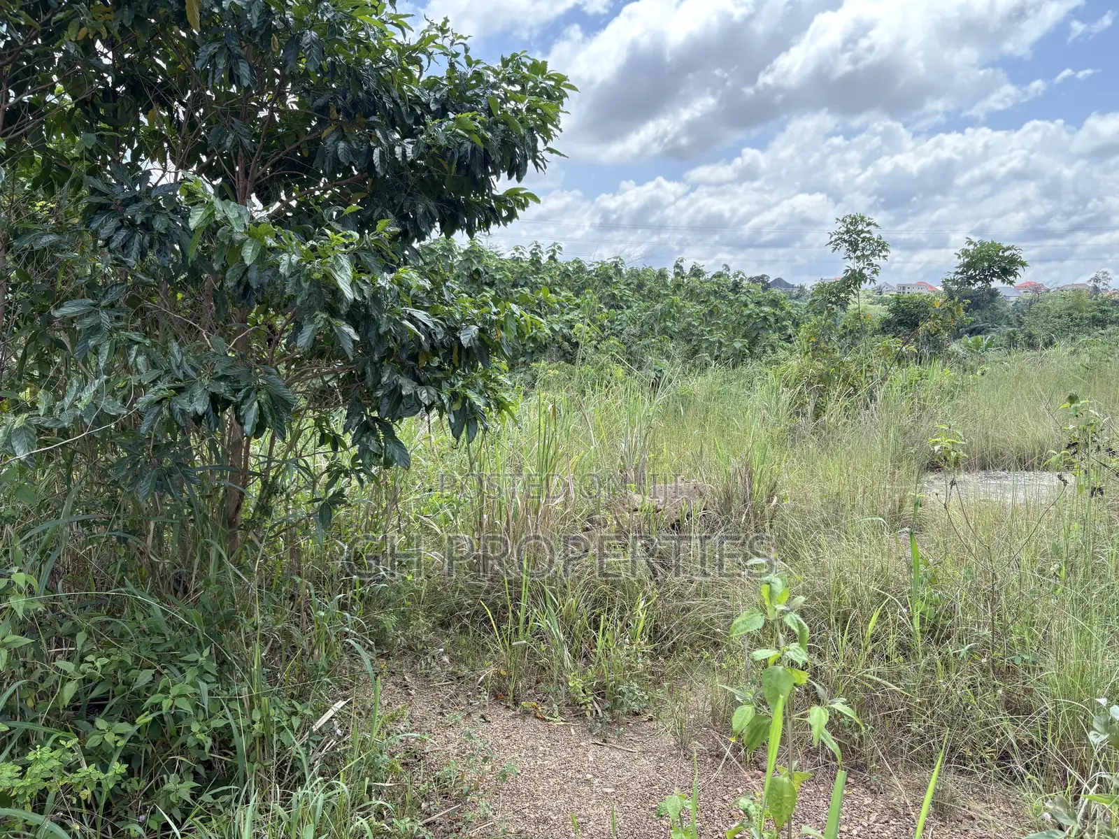 One Plot for Sale at Trade 7 Minutes Walk From Main Road.