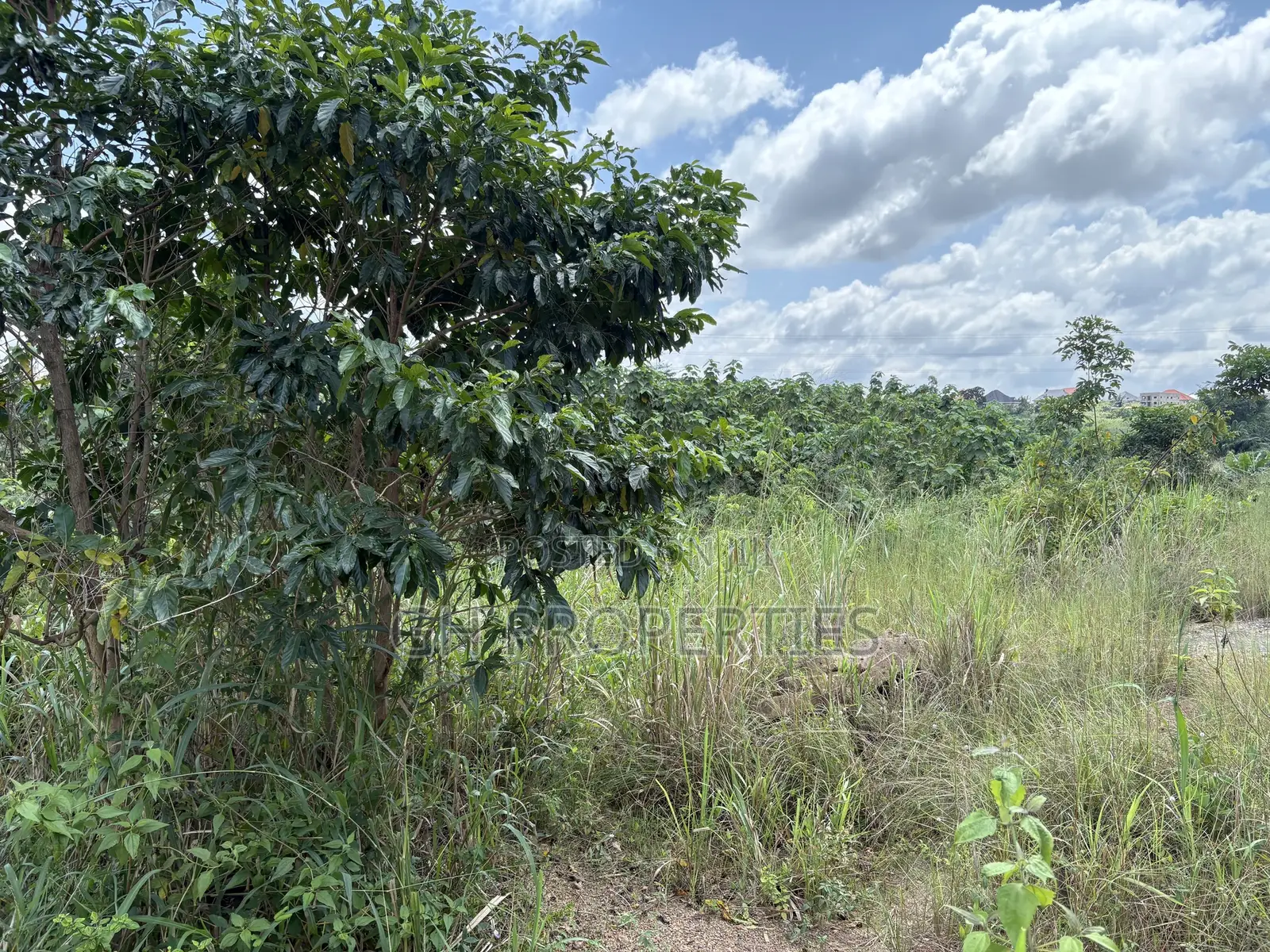 One Plot for Sale at Trade 7 Minutes Walk From Main Road.