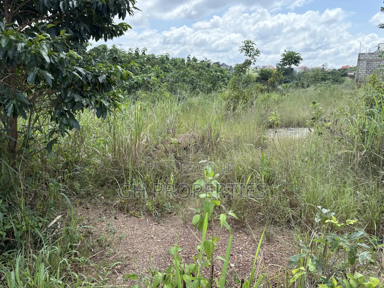 One Plot for Sale at Trade 7 Minutes Walk From Main Road.