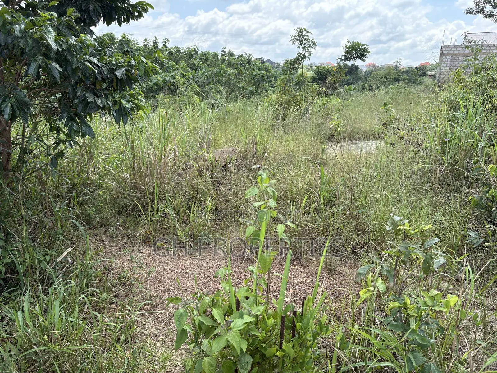 One Plot for Sale at Trade 7 Minutes Walk From Main Road.