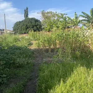 35x100 Titled Land at Pantang Nyamekrom