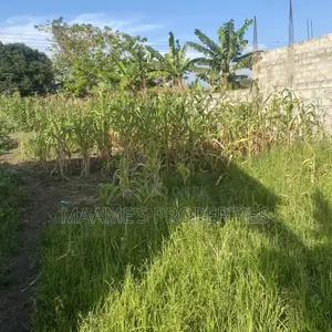 35x100 Titled Land at Pantang Nyamekrom