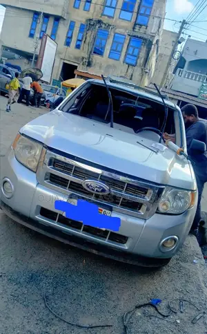 2010 Ford Escape Windscreen Available