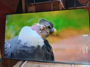 Best TCL Digital 32inches