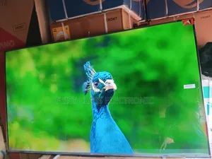 Joyful TCL Digital Tv