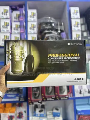 Professional Condenser Microphone