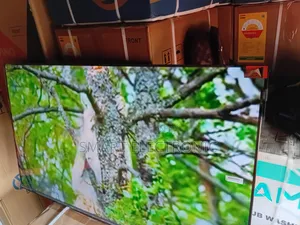Effortlessly Entertainment Smart TCL 55inches