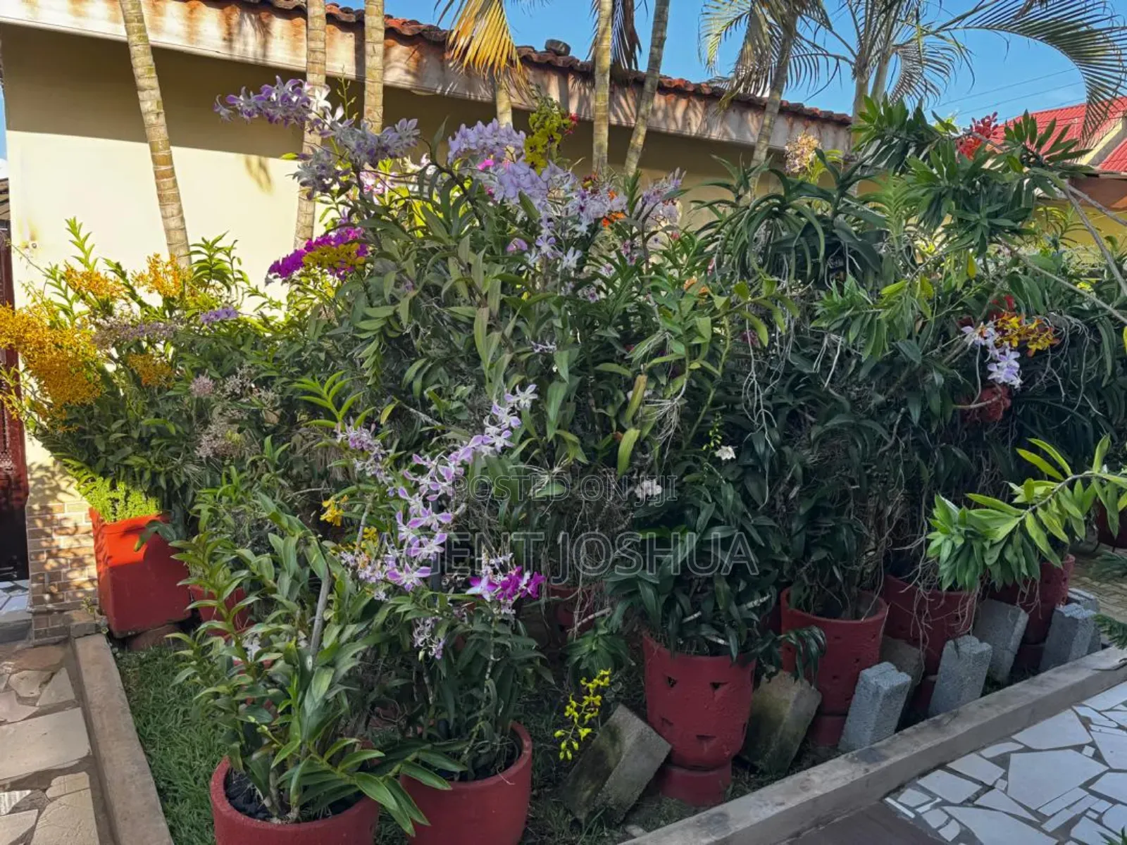 Furnished 1bdrm Townhouse / Terrace in Manet Court Estate for rent