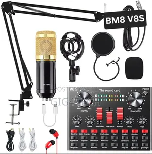 Professional Bm-800 Condenser Microphone Kit With V8s Sound Card