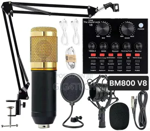 Studio Microphone Bm800 With V8 Sound Card