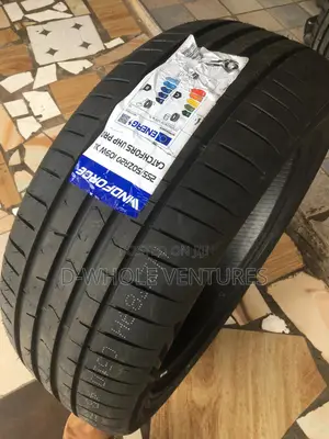 Quality 255/45r20 Windforce