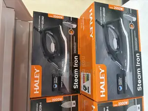 Affordable Haley-Hy-2032 Electric Steam Iron(Silver/Black).