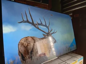 Everyday Brilliance Smart TCL 55inches