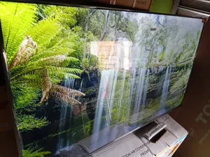 Compact and Powerful TCL 55inches