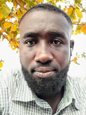 Electrical Engineer