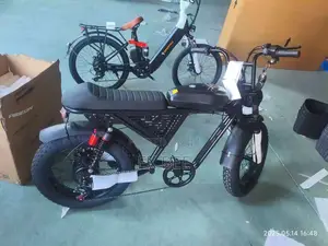 25km/H Adult Electric Bicycle