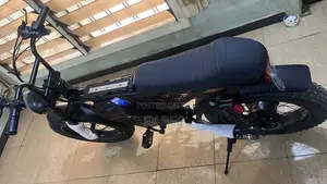 25km/H Adult Electric Bicycle