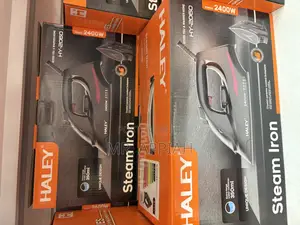 High Quality Haley-Hy-2060 Electric Steam Iron(2400watt)