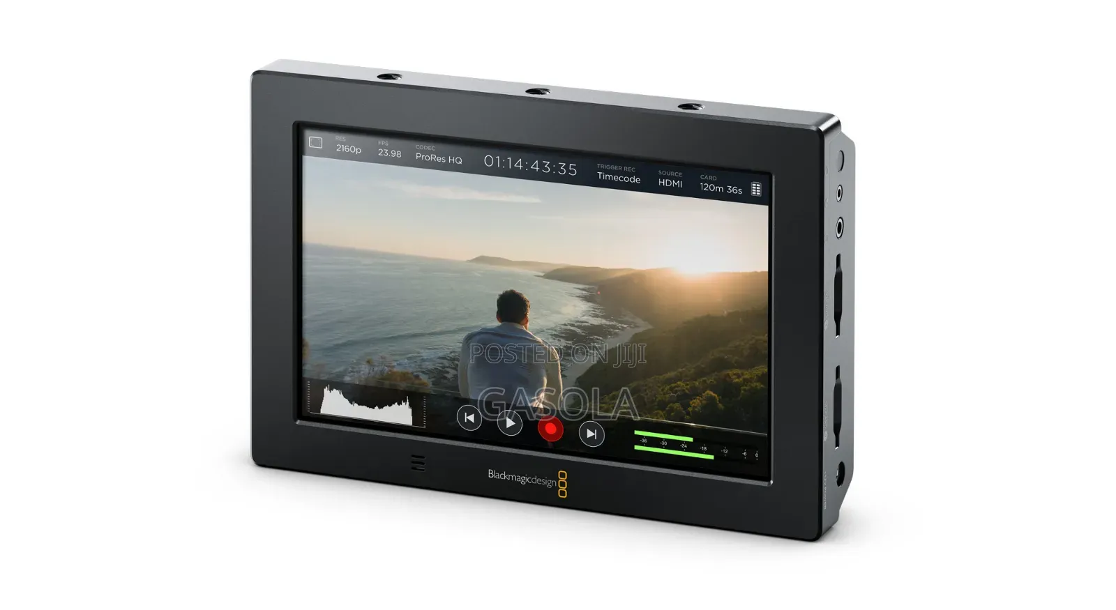 Blackmagic Video Assit