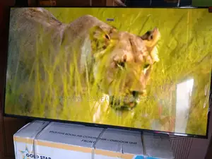 Get Access to Thousand and More Apps on TCL 55 Inches Smart Tv