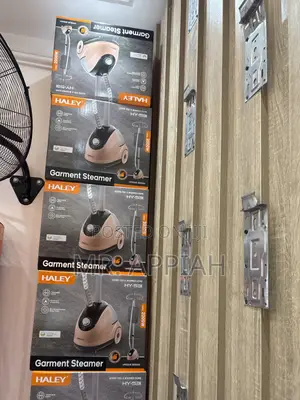 Energy Saving Haley-Hy-531 Electric Garment Steamer 