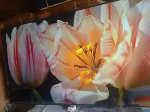 TCL 55 Qled Screen Mirroring Smart Television