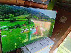 Family Time Smart TCL 55inches
