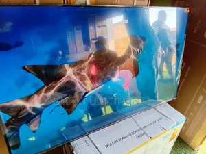 Ppicture Brilliance Smart TCL 55inches