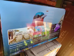 Cinematic Beauty Smart TCL 55inches