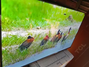 TCL 55-Inch Qled Google Tv – Brilliant Colors, Smart Control