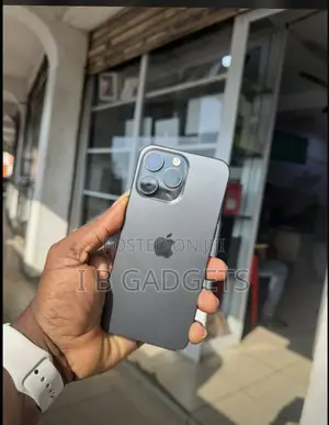Apple iPhone 15 Pro Max 256 GB Gray