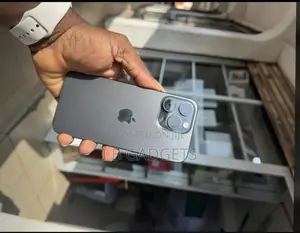Apple iPhone 15 Pro Max 256 GB Gray