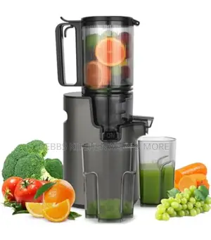 Link Chef Masticating Slow Juicer Germany