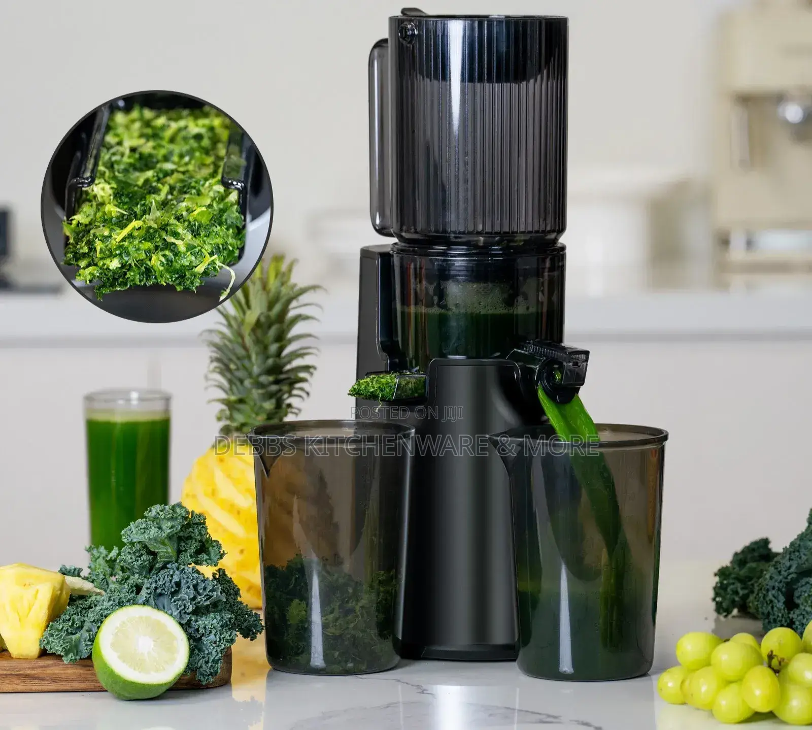 Link Chef Masticating Slow Juicer Germany
