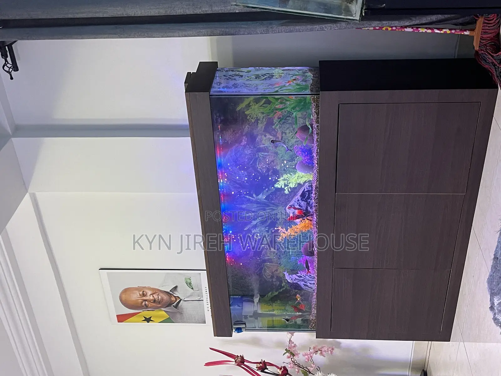 Brown Aquatic Aquarium With 15 Fishes