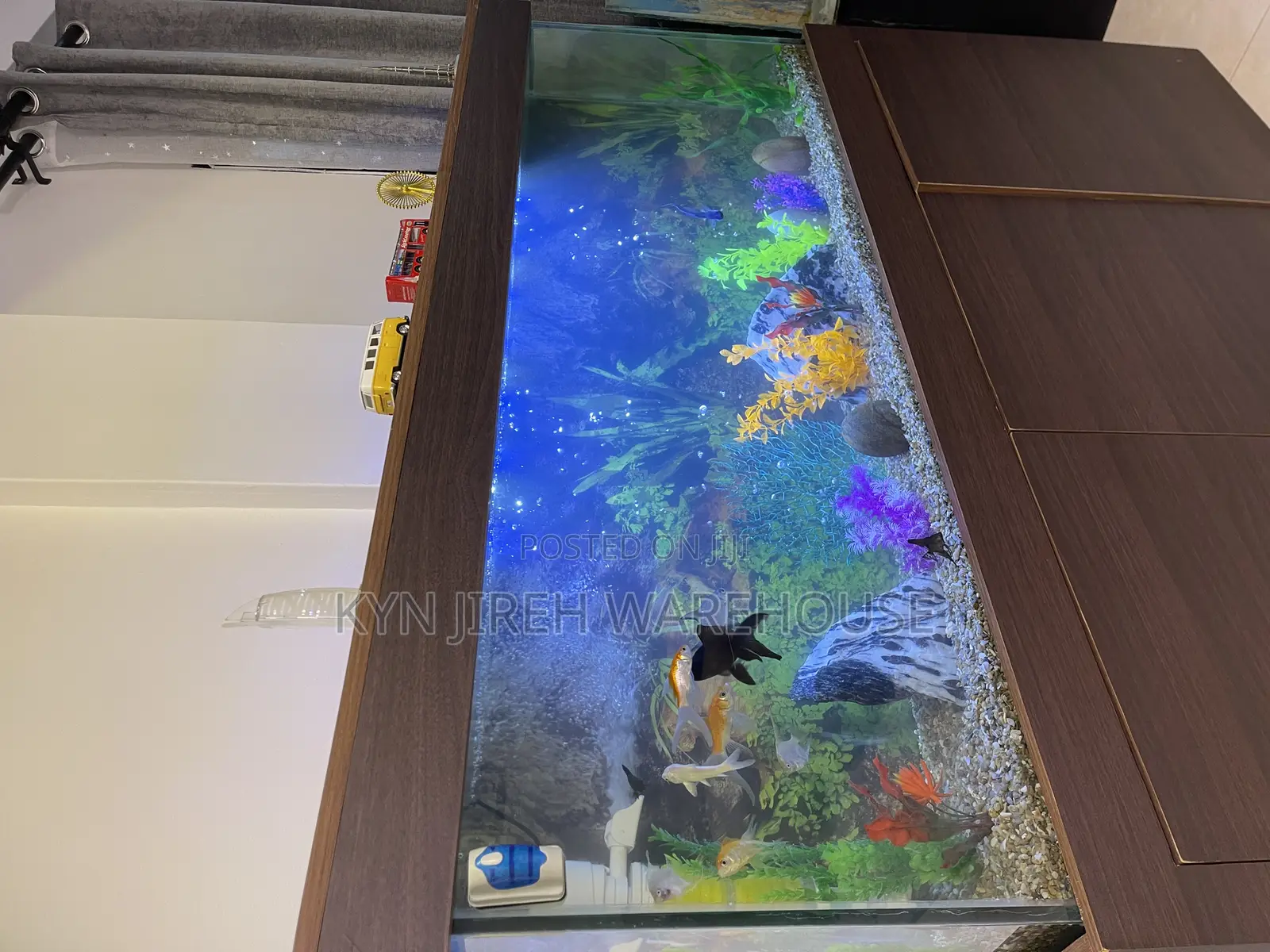 Brown Aquatic Aquarium With 15 Fishes