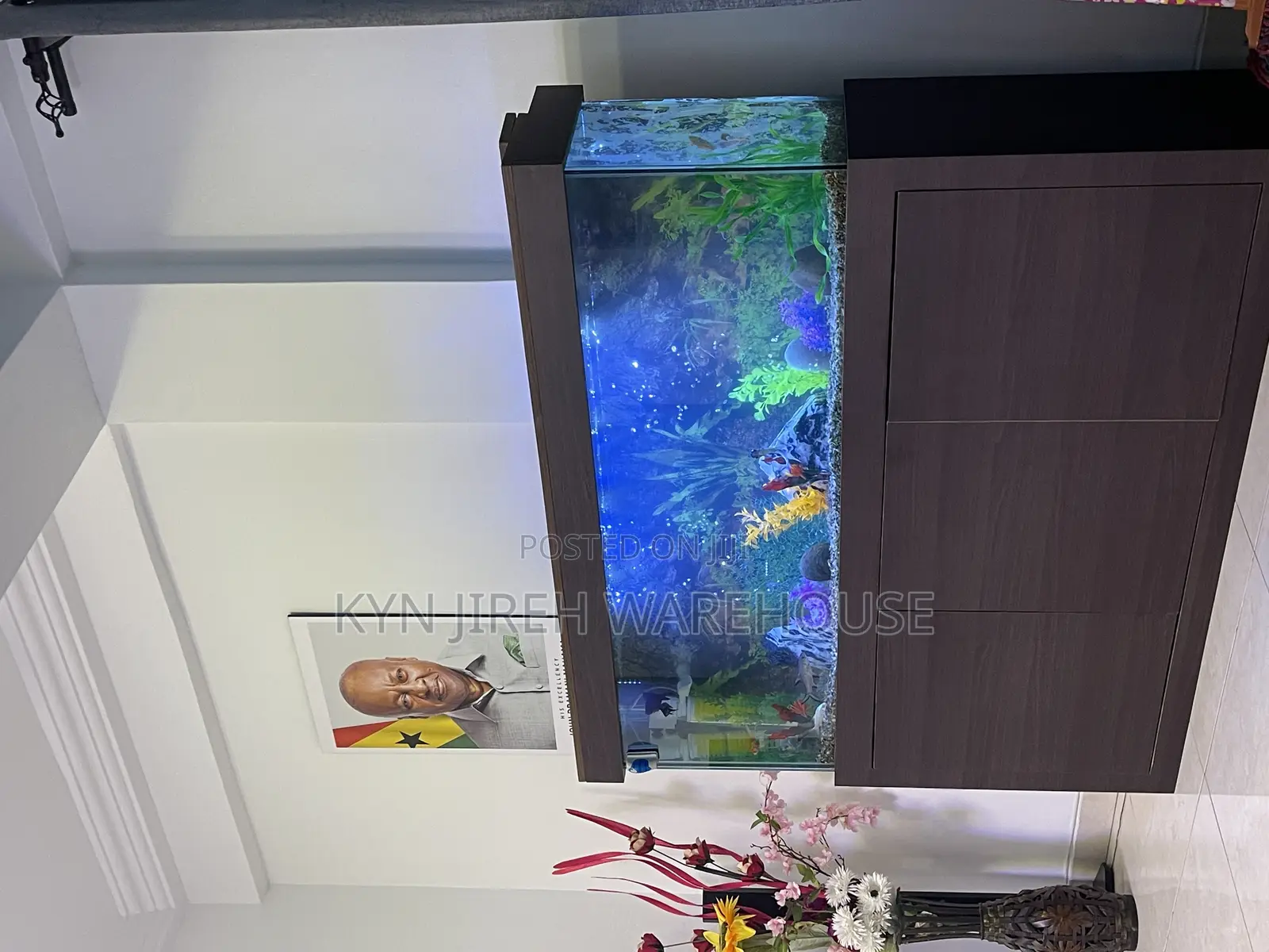 Brown Aquatic Aquarium With 15 Fishes