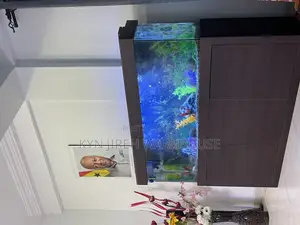 Brown Aquatic Aquarium With 15 Fishes