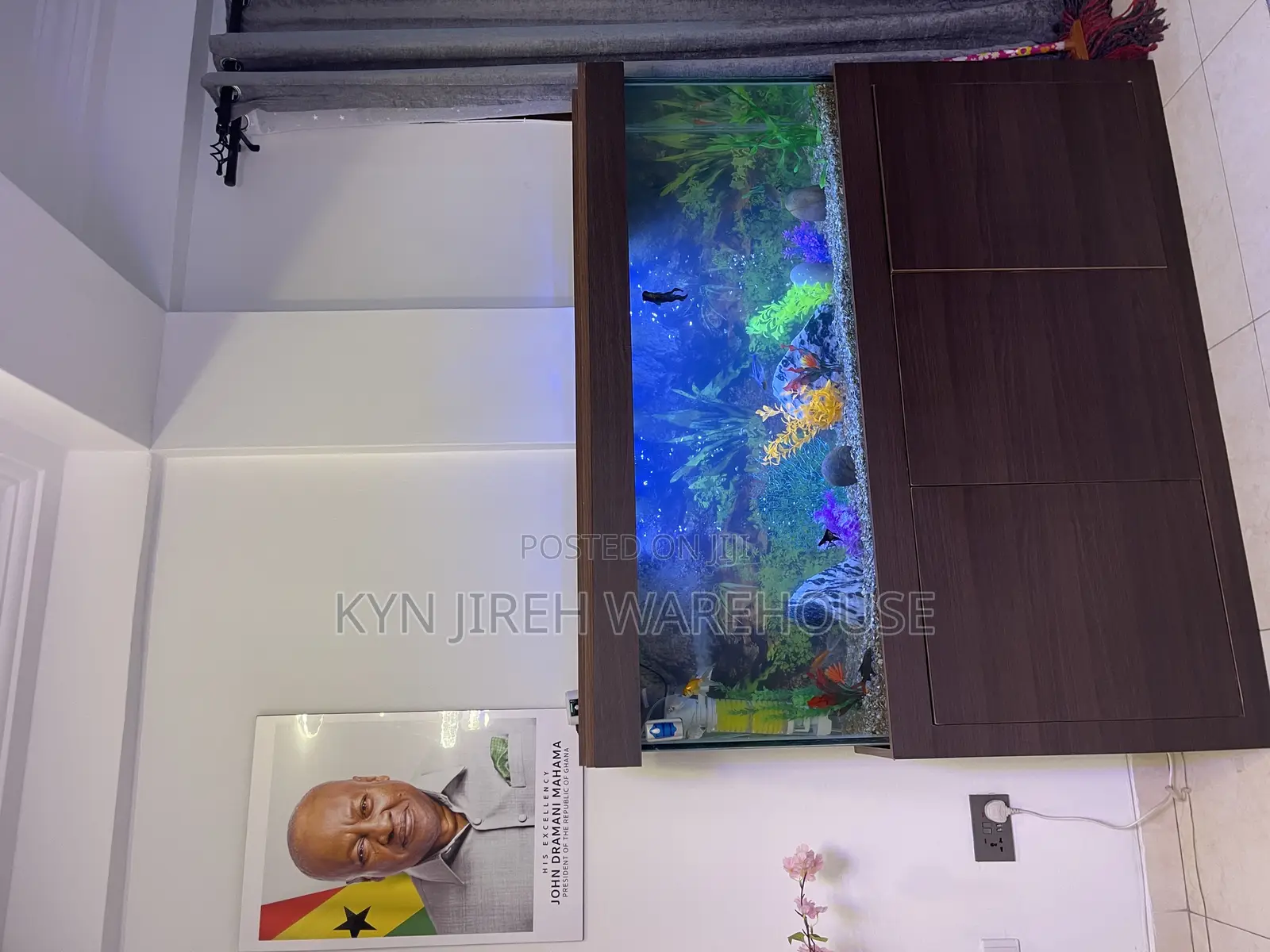 Brown Aquatic Aquarium With 15 Fishes