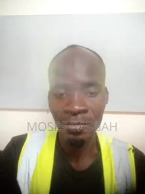 Construction Skilled Trade CV